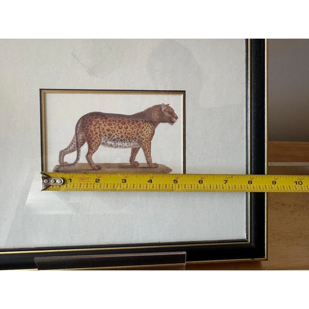 Vintage Black and Gold Animal Leopard Print Framed 12 x 10